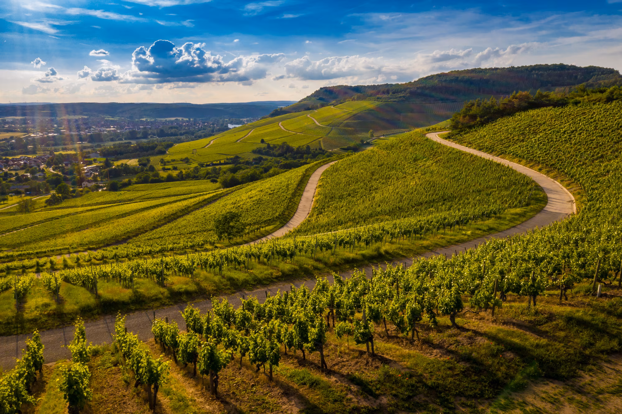 Paisaje de viñedos y agricultura